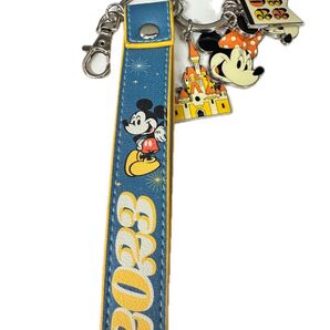 アメリカ ウォルトディズニーワールド 限定品 ミッキー & ミニー ストラップ コレクション 新品