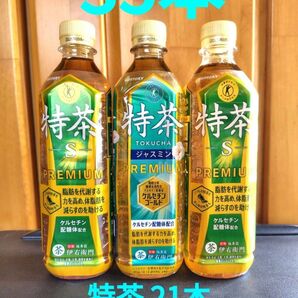 サントリー 伊右衛門 特茶 緑茶 ジャスミン 500ml 35本