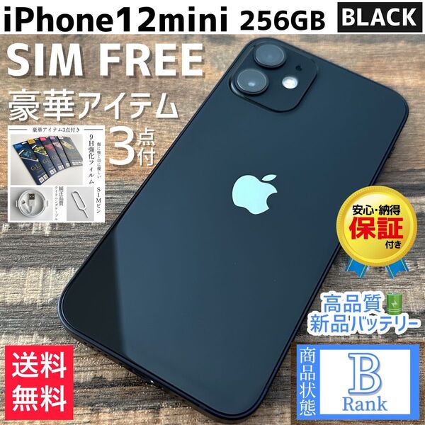 【大容量】iPhone12mini 本体 Black 256GB SIMフリー