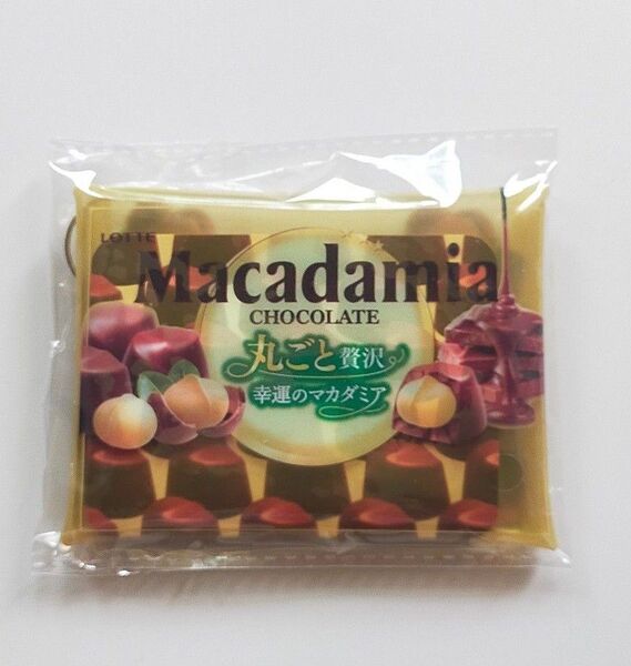ロッテ LOTTE チョコレート カラビナ マルチクリアポーチ マカダミアチョコレート クリアケース