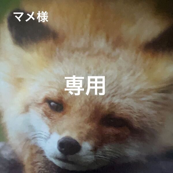 パンダ柄半袖Tシャツ 他1点