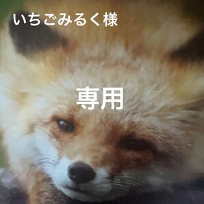 幻想的な雲と魔法の城 他1点