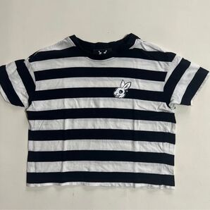 マッドバニー ボーダー 半袖Tシャツ うさぎ MADBUNNY フジロック Fujirock スケボー