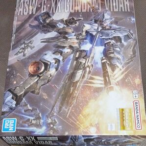 MG 1/100 ガンダムヴィダール