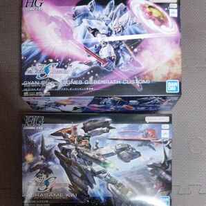 HG 1/144 ギャンシュトローム ムラサメ改