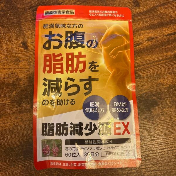 脂肪減少源EX 60粒 機能性表示食品