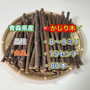 青森県産 りんごの木 かじり木 金星 80本