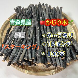 青森県産 りんごの木 かじり木 スターキング 100本