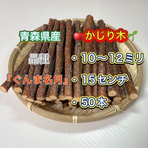 青森県産 りんごの木 かじり木 ぐんま名月50本