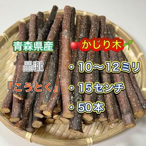 青森県産 りんごの木 かじり木 こうとく 50本