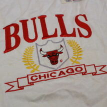 新品 dead stock 90s USA製 Logo7 CHICAGO BULLS Tシャツ ホワイト L 刺繍 NBA シカゴブルズ ヴィンテージ マイケルジョーダン_画像4