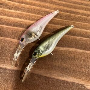 ワスプ50 イマカツ