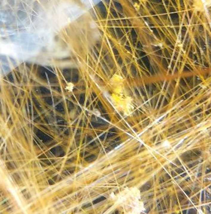 霊視占い陰陽師がします。ヤフオク評価たくさんあります。