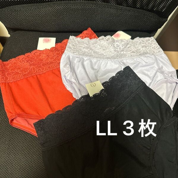 新品タグ付き 補正下着 ダイアナ ボディスーツ ダイアジェンヌ ガードル ショーツLL ブラジャー ダイアジェンヌ ボディメイク