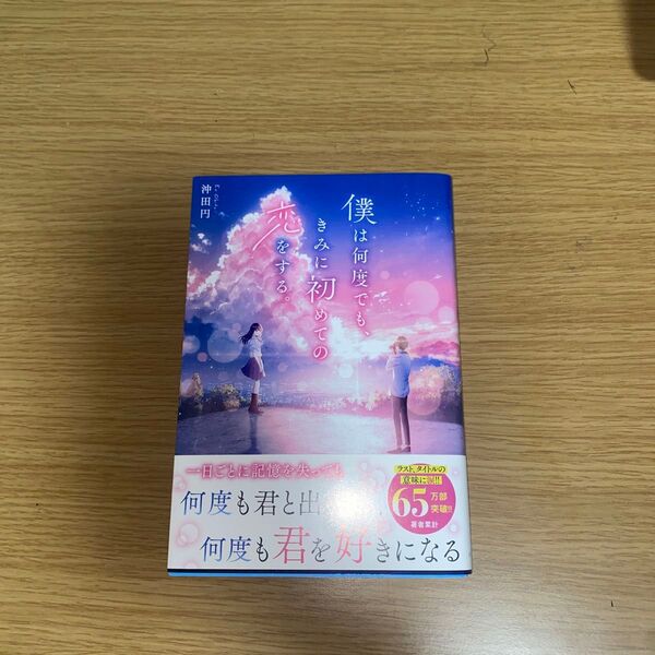 僕は何度でも、きみに初めての恋をする。 沖田円/著