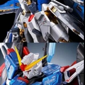 RG デスティニー ストライクフリーダム チタニウムフィニッシュ セット バンダイ ガンプラ 機動戦士ガンダム