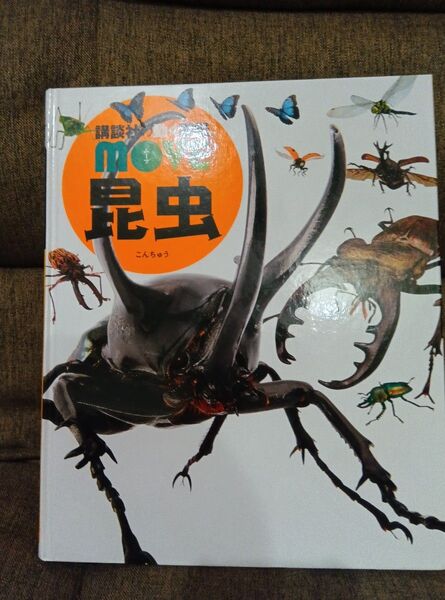 move 昆虫 講談社の動く図鑑 DVD無し