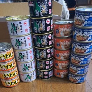 缶詰