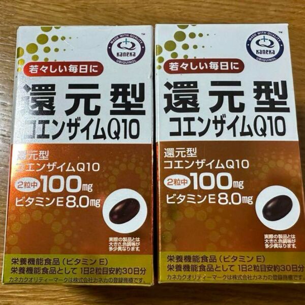 リケン Riken 還元型コエンザイムQ10 60粒 x2個