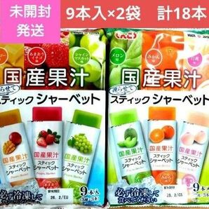 ☆国産果汁☆凍らせてスティックシャーベット【計2袋】いちご マスカット マンゴー メロン みかん 桃 ☆送料込み ☆クーポン③