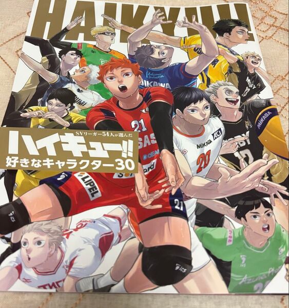 ハイキュー!!Sportiva バレーボール 特集号 Vol.3『付録』 冊子 ビジュアルブック