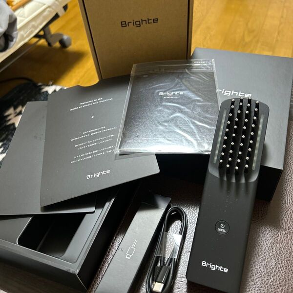 BRIGHTE ブラシ型美顔器 エレキブラシ BRT-FS145 (中古美品)