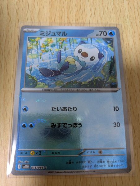 ミジュマル マスターボールミラー ポケモンカード ポケモンカードゲーム