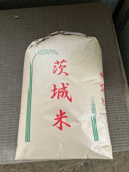 令和6年 茨城県産 コシヒカリ 茨城米 玄米 10kg