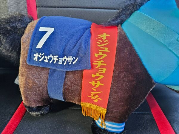 オジュウチョウサン ぬいぐるみ 競馬 アイドルホース 有馬記念 天皇賞(春)