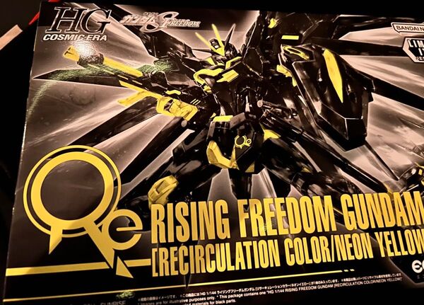 HGCE ライジングフリーダムガンダム リサーキュレーションカラー