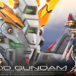 RG ゴッドガンダム 未組立 機動武闘伝Gガンダム
