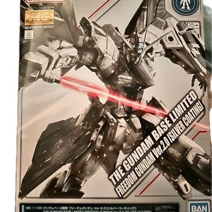MGフリーダムガンダム ver2.0 シルバーコーティング