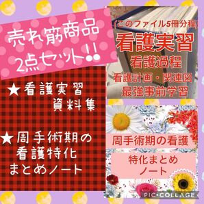 看護実習 看護学生 看護過程 アセスメント パンフレット 手順書 関連図 国試