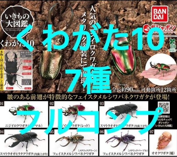 いきもの大図鑑 くわがた10 コンプセット スマトラオオヒラタクワガタ ニジイロクワガタ ガチャ ガシャポン オオクワガタ 蛹