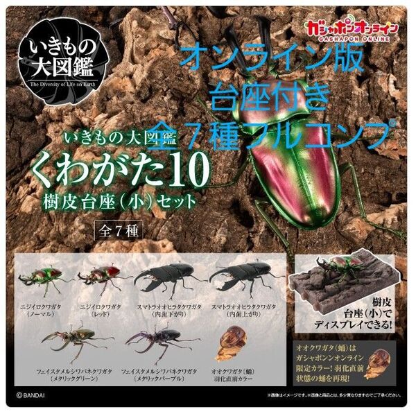 ガシャポンオンライン限定 いきもの大図鑑 くわがた10 樹皮台座セット 全7種類フルコンプリートセット