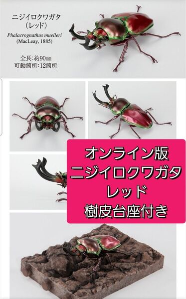 ガシャポンオンライン版 いきもの大図鑑 くわがた10 ニジイロクワガタ レッド 樹皮台座セット BANDAI クワガタ
