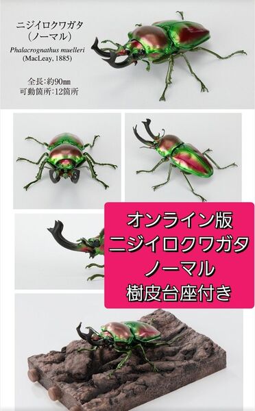 ガシャポンオンライン版 いきもの大図鑑 くわがた10 ニジイロクワガタ ノーマル 樹皮台座セット