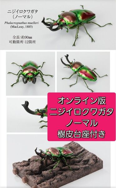 ガシャポンオンライン版 いきもの大図鑑 くわがた10 ニジイロクワガタ ノーマル 樹皮台座セット
