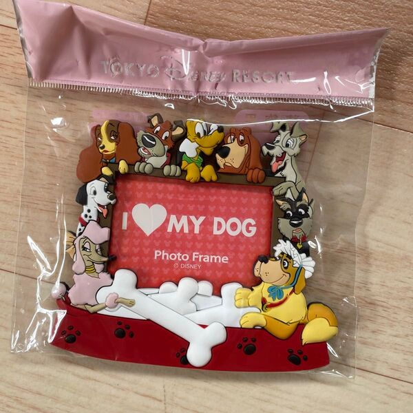 東京ディズニーランド TDR 犬キャラクター フォトフレーム マグネット プルート ピーターパン ナナ 101匹わんちゃん レディ