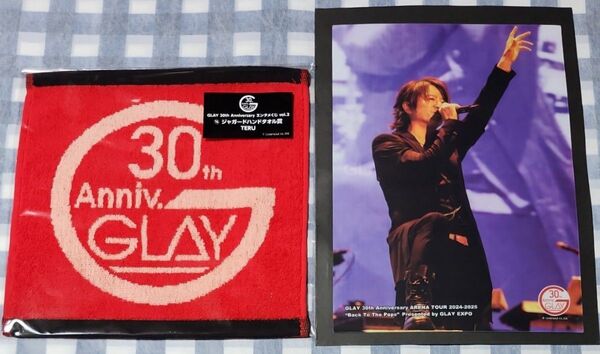 GLAY 30th Anniversary エンタメくじ TERU クリアポスター タオル