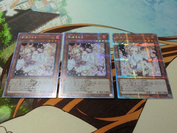 遊戯王 灰流うらら×3 25th 絵違い QC クオシク クウォシク