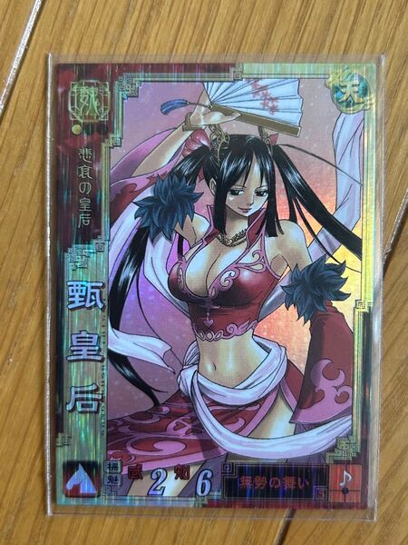 【希少】三国志 大戦 トレーディングカード 真島ヒロ