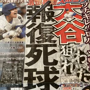 大谷翔平 死球記事 6月19日 北海道スポニチ記事