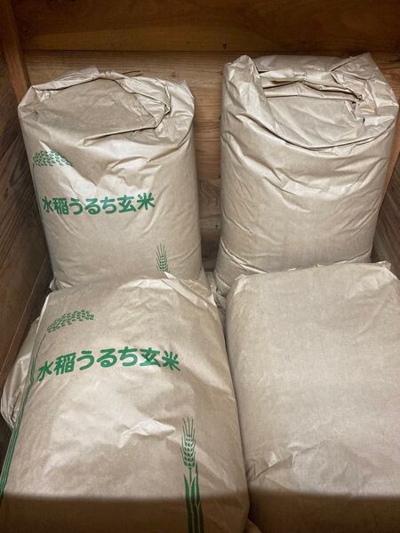 長野県産 コシヒカリ 30kg 玄米