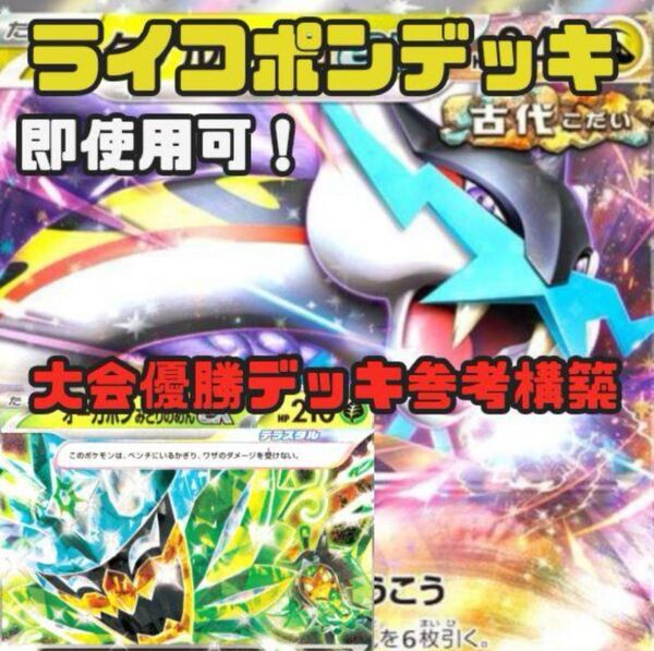 ポケモンカード タケルライコex デッキ 環境デッキ ガチ構築