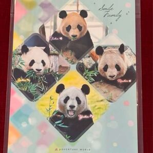 アドベンチャーワールド パンダ ファミリー 和歌山 下敷き 新品 未使用 未開封