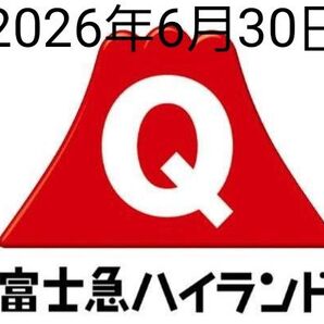 富士急ハイランド フリーパス 1名様分
