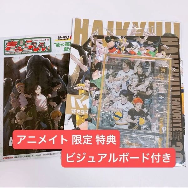 Sportiva vol.3 付録 ハイキュー アクリルスタンド ビジュアルブック アニメイト 特典 ビジュアルボード