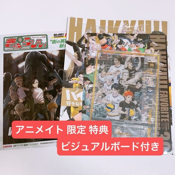 Sportiva vol.3 付録 ハイキュー アクリルスタンド ビジュアルブック アニメイト 特典 ビジュアルボード