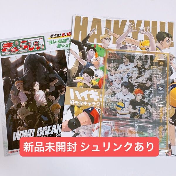 新品 Sportiva スポルティーバ バレーボール特集 vol.3 ハイキュー 付録 アクリルスタンド ビジュアルブック